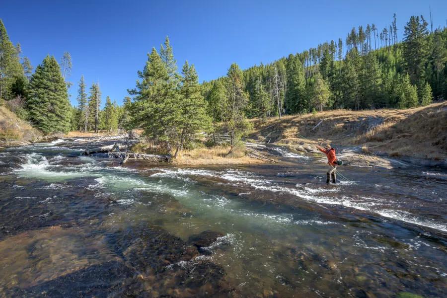 Fly fishing the Gibbon River in Yellowstone National Park