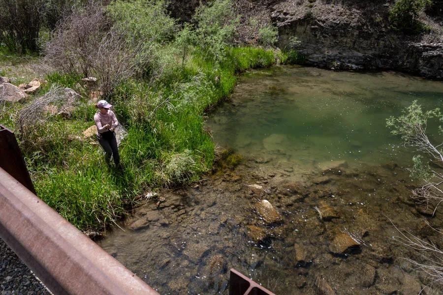 Bridge fishing
