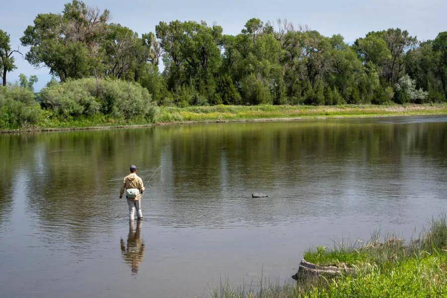 Stalking for carp in Montana
