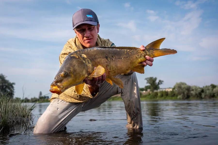 Fly fishing for carp in Montana