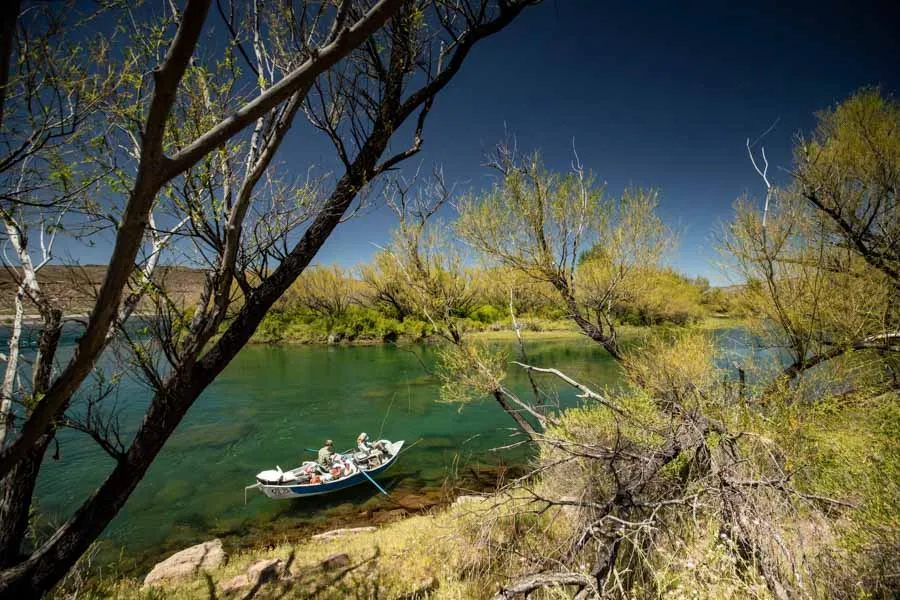 Argentina Fly Fishing