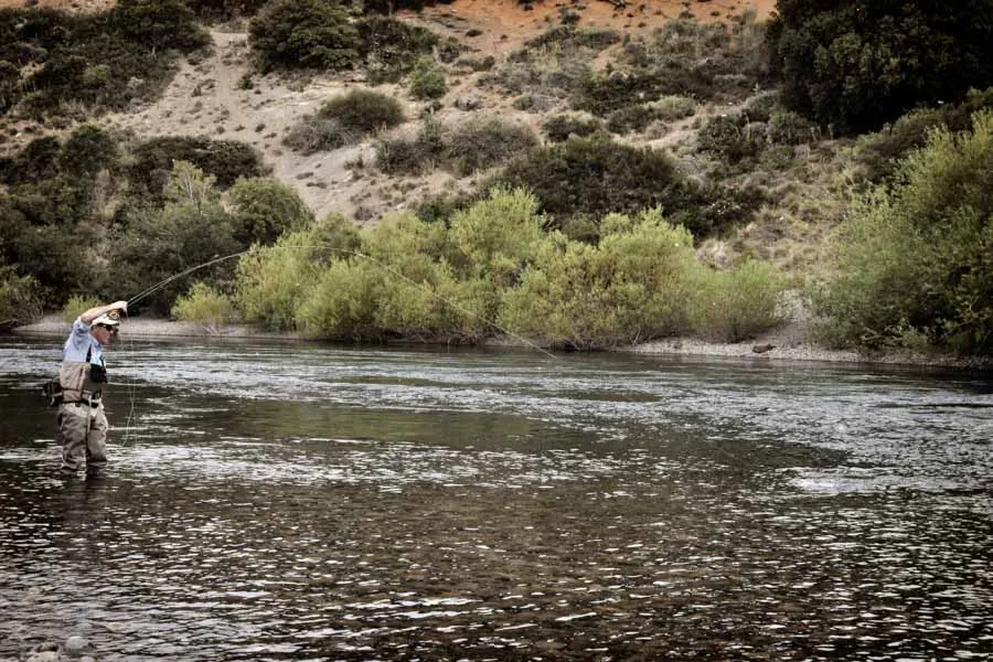 Argentina Trout Fishing