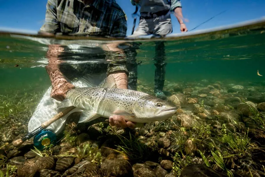 Patagonia Fishing Lodges
