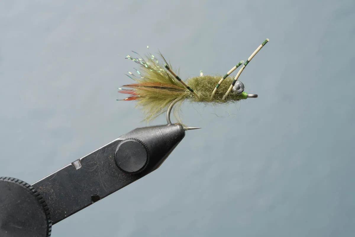 Rag head crab for Mexico