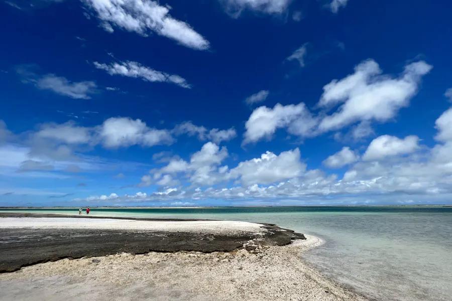 Christmas Island fly fishing trips