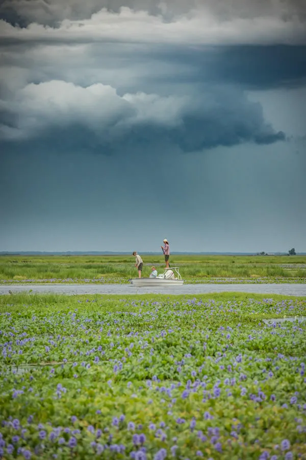 Storm over the marsh