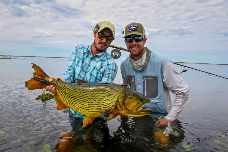 Pira Lodge golden dorado