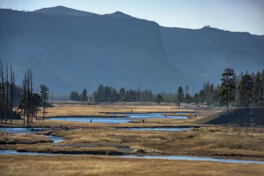 Fly fishing Yellowstone National Park in the fall