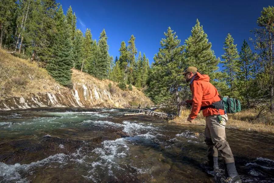 Gibbon River in the fall