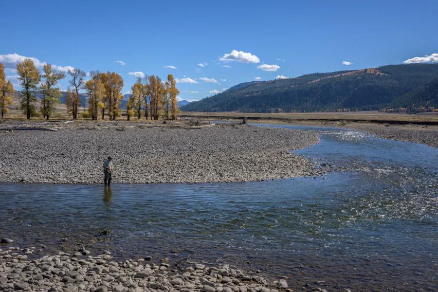 Lamar River fly fishing in the fall in Yellowstone National Park