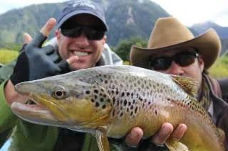 big futa brown trout 