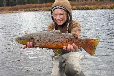 Montana November Brown Trout