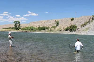 Montana Fly Fishing For Carp