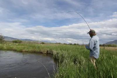 Montana Grasshopper Fly Fishing