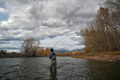 Introduction to Trout Spey Fishing in Montana