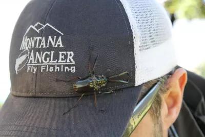 Fly Fishing in Chile: The Cantaria Beetle