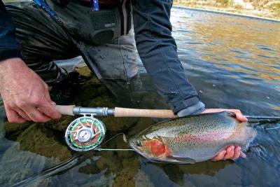 Hairwing Flies for Summer and Fall Steelhead