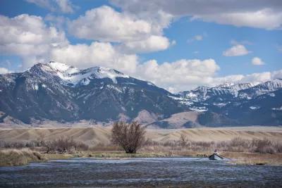 Montana Fly of the Month: March