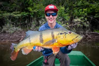 Double digit peacock bass in Brazil