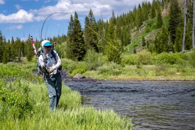 An angler hooks up with a cutthroat trout on a backcountry river in Yellowstone National Park