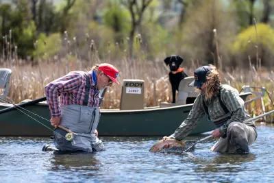 Fishing with a well behaved dog often enhances the experience.