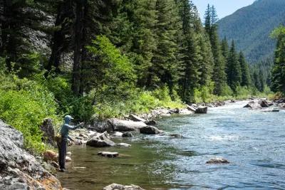 Gallatin River fly fishing in July 
