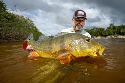 Large peacock bass in the Amazon are abundant, but being in the right place at the right time with the right gear and the right set of skills are important.