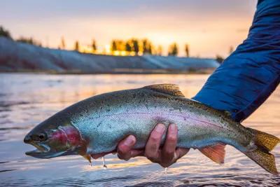 Big Sky and Bozeman Montana fly fishing trips Madison River fly fishing in winter