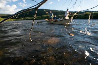 Montana Angler fly fishing trips near Bozeman and Big Sky, Montana April and May has the possibility of the seasons most legit dry fly fishing opportunities.