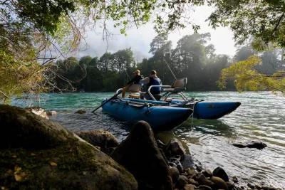 Martin Pescador Chile 