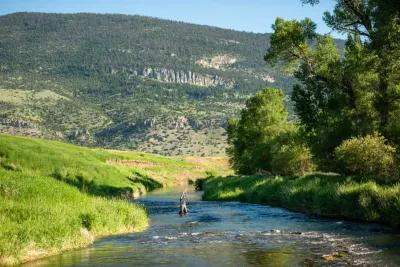 Montana fly fishing trips near Bozeman