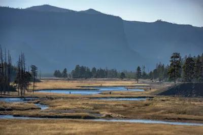 Montana Angler fly fishing trips in the fall in Yellowstone National Park Fly fishing Yellowstone National Park in the fall