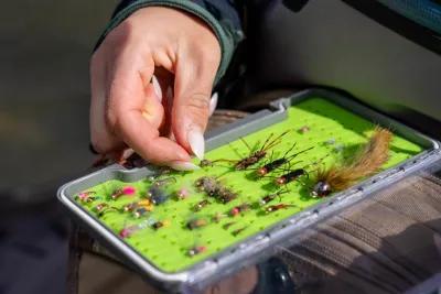 Montana fly fishing with nymphs
