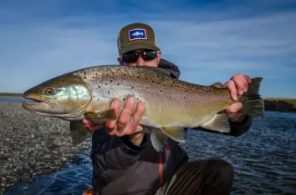 Sea run Brown trout caught in the Rio Grande in Tierra Del Fuego.