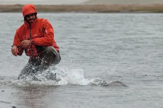 Exciting action on the Rio Grande River in Tierra Del Fuego.