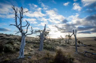 Beautiful vistas in Tierra Del Fuego.