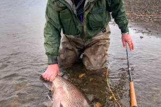 Spey casting helps get the flies to the fish.