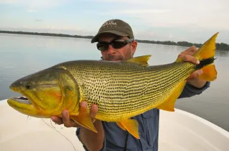 This angler is happy to hold this large golden dorado