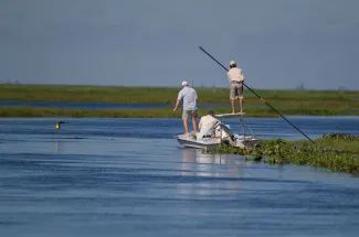 The first jump of a golden dorado