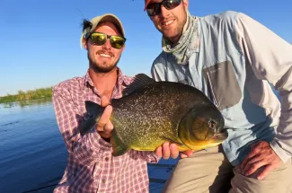 An exotic species the Pacu fish