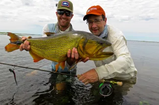 Another great golden dorado