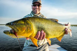 A nice sized golden dorado