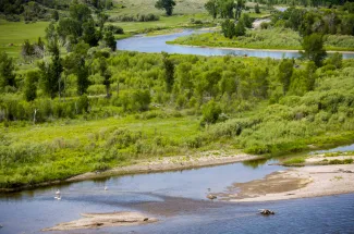 Enjoy a float and camping trip fishing Montana's rivers