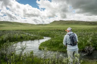 Spring Creek fishing in Montana