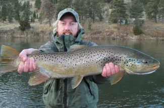 Big and Beautiful - Montana Brown Trout