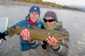 Yellowstone river brown trout