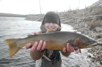 This is big Cutthroat caught in Yellowstone National Park
