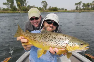 Catching brown trout in Montana