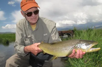 Big brownie taken on a fly
