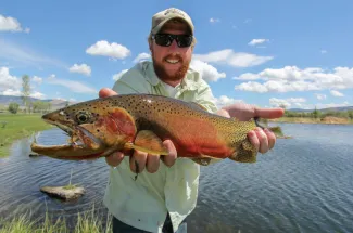 Extra large cutthroat trout